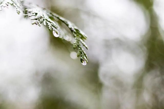 空氣濕度大帶來的危害有哪些，你知道嗎？