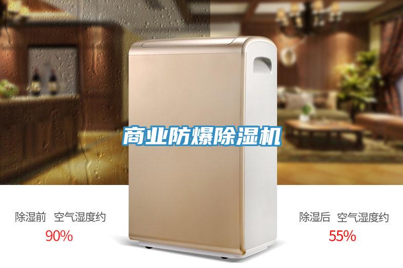 商業防爆蘑菇视频网站