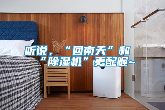 聽說，“回南天”和“蘑菇视频网站”更配喔~
