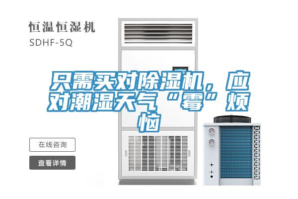 隻需買對蘑菇视频网站，應對潮濕天氣“黴”煩惱