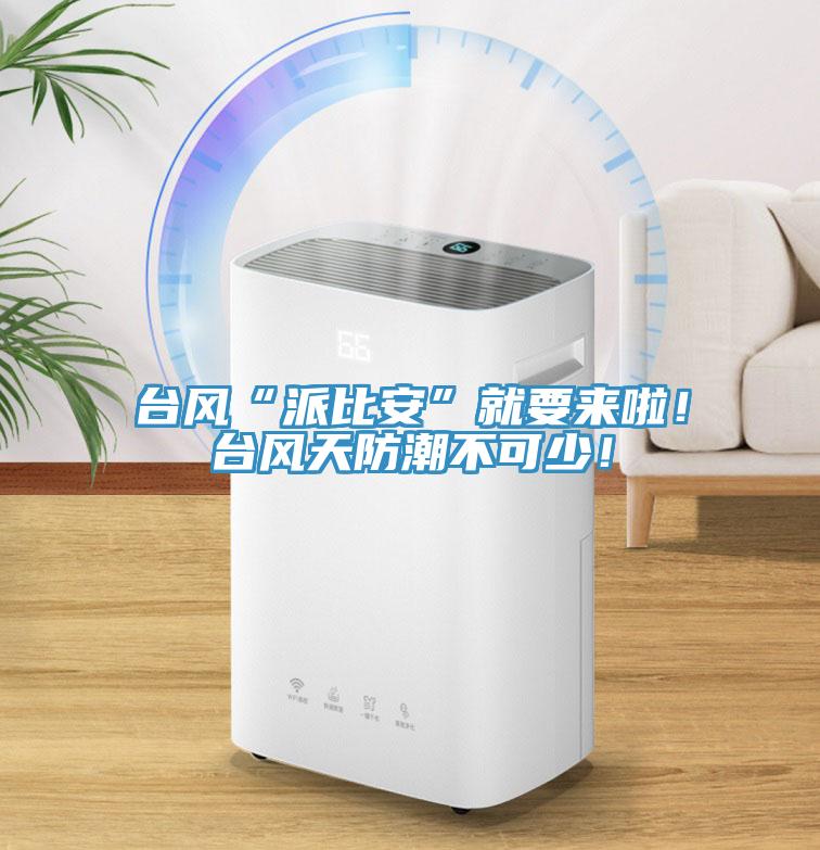 台風“派比安”就要來啦！台風天防潮不可少！