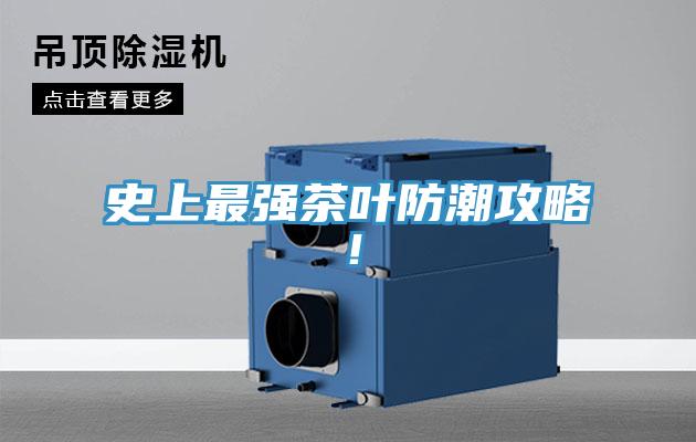 史上最強茶葉防潮攻略！