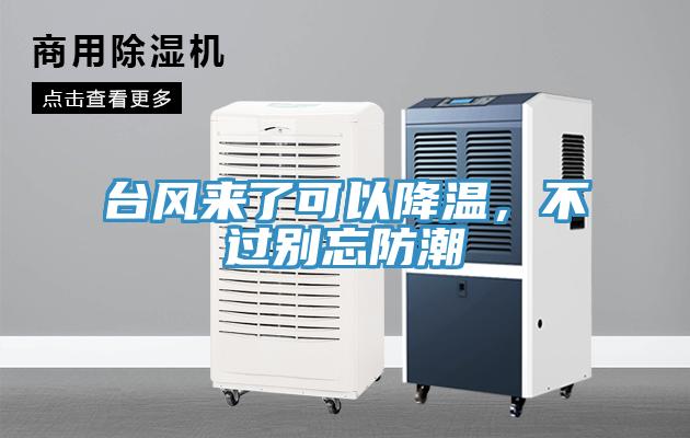 台風來了可以降溫，不過別忘防潮