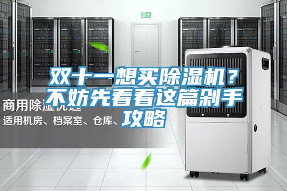雙十一想買蘑菇视频网站？不妨先看看這篇剁手攻略