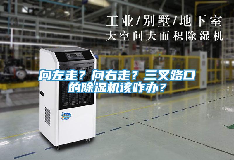 向左走？向右走？三叉路口的蘑菇视频网站該咋辦？