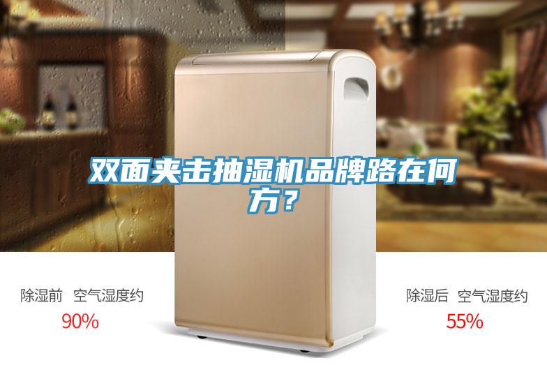 雙麵夾擊抽濕機品牌路在何方？