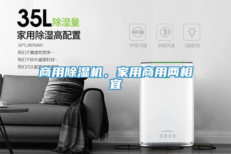 商用蘑菇视频网站，家用商用兩相宜