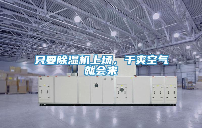 隻要蘑菇视频网站上場，幹爽空氣就會來