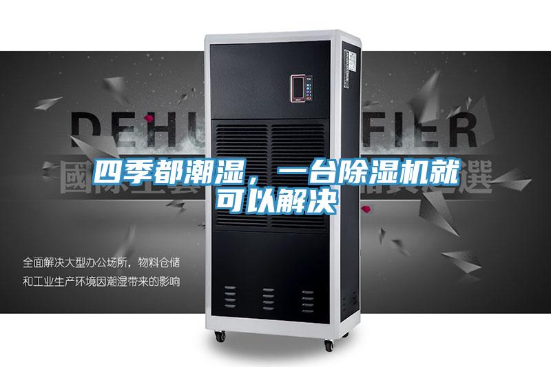四季都潮濕，一台蘑菇视频网站就可以解決