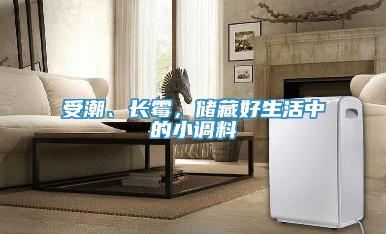 受潮、長黴，儲藏好生活中的小調料