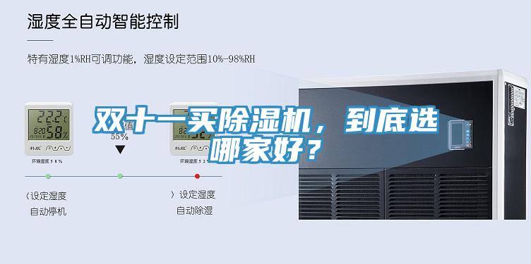 雙十一買蘑菇视频网站，到底選哪家好？