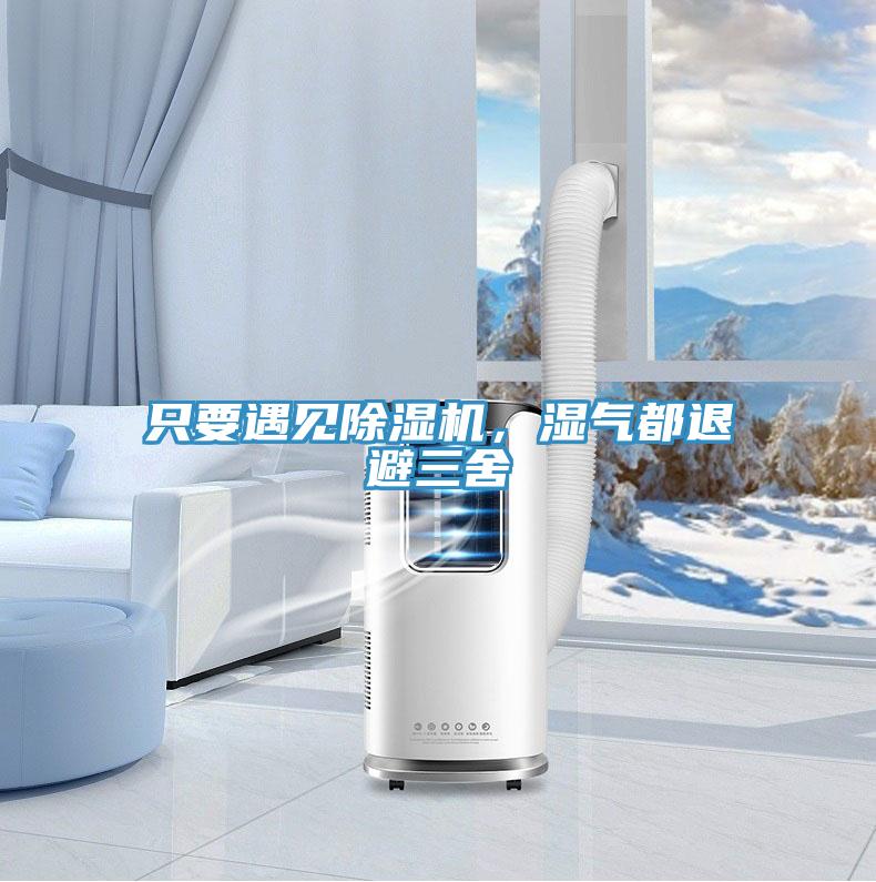 隻要遇見蘑菇视频网站，濕氣都退避三舍