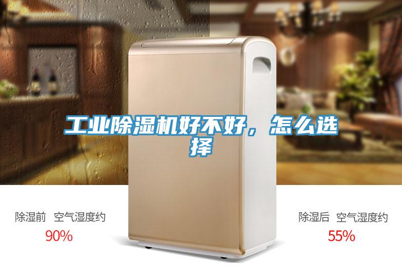 工業蘑菇视频网站好不好，怎麽選擇