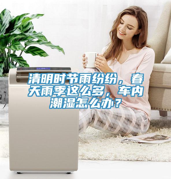 清明時節雨紛紛，春天雨季這麽多，車內潮濕怎麽辦？