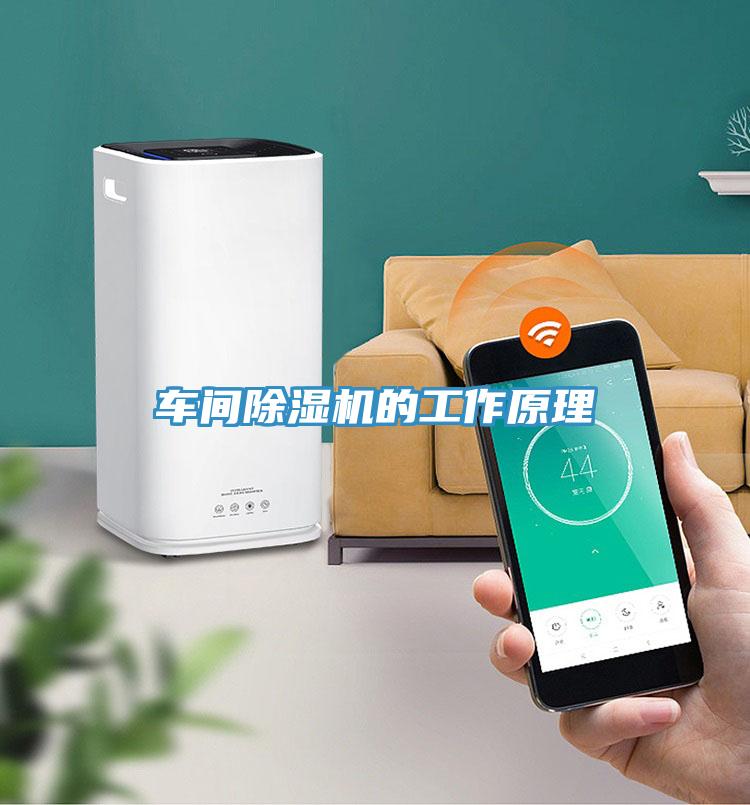 車間蘑菇视频网站的工作原理