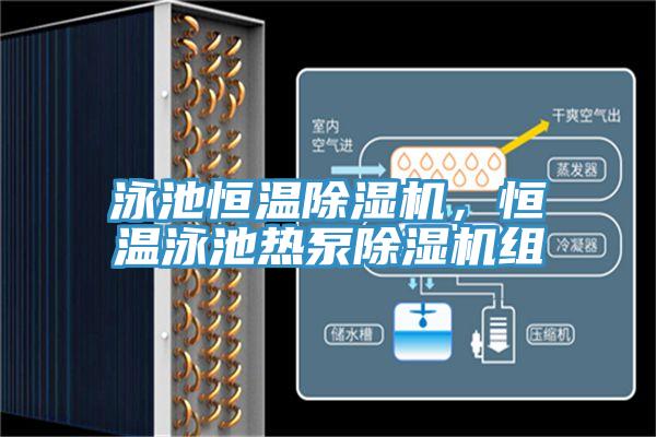 泳池恒溫蘑菇视频网站，恒溫泳池熱泵蘑菇视频网站組