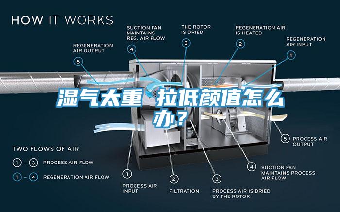 濕氣太重 拉低顏值怎麽辦？