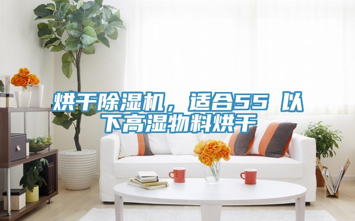 烘幹蘑菇视频网站，適合55℃以下高濕物料烘幹