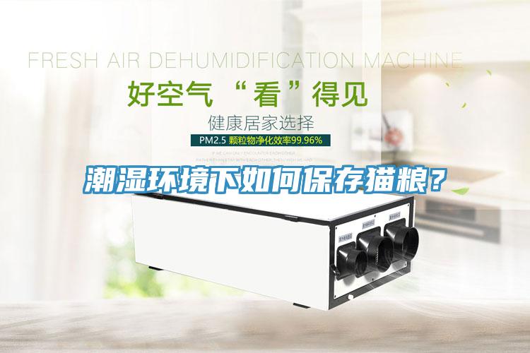 潮濕環境下如何保存貓糧？