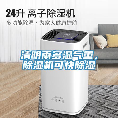 清明雨多濕氣重，蘑菇视频网站可快除濕