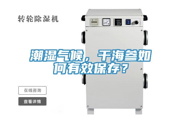 潮濕氣候，幹海參如何有效保存？