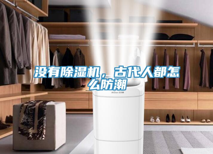 沒有蘑菇视频网站，古代人都怎麽防潮