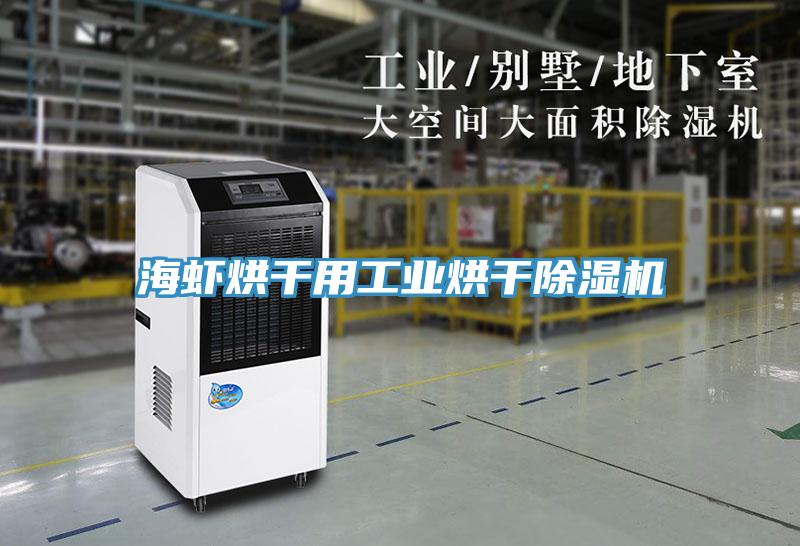 海蝦烘幹用工業烘幹蘑菇视频网站