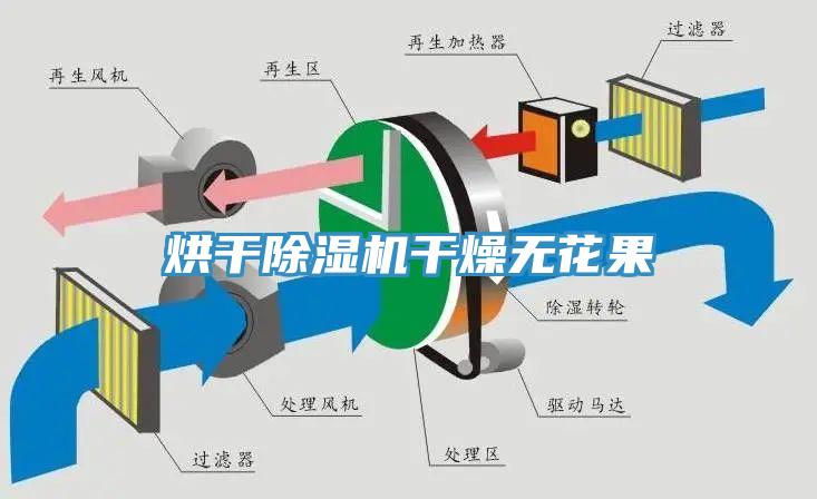 烘幹蘑菇视频网站幹燥無花果