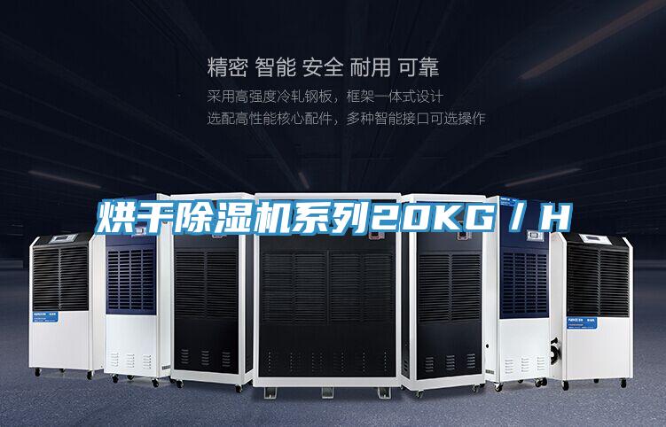 烘幹蘑菇视频网站係列20KG／H