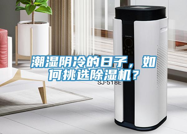 潮濕陰冷的日子，如何挑選蘑菇视频网站？