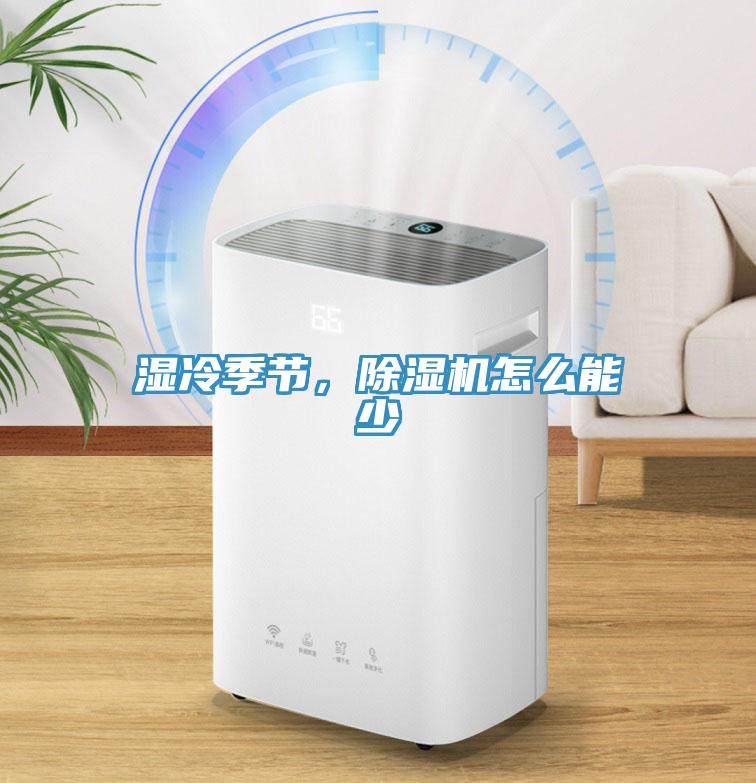濕冷季節，蘑菇视频网站怎麽能少