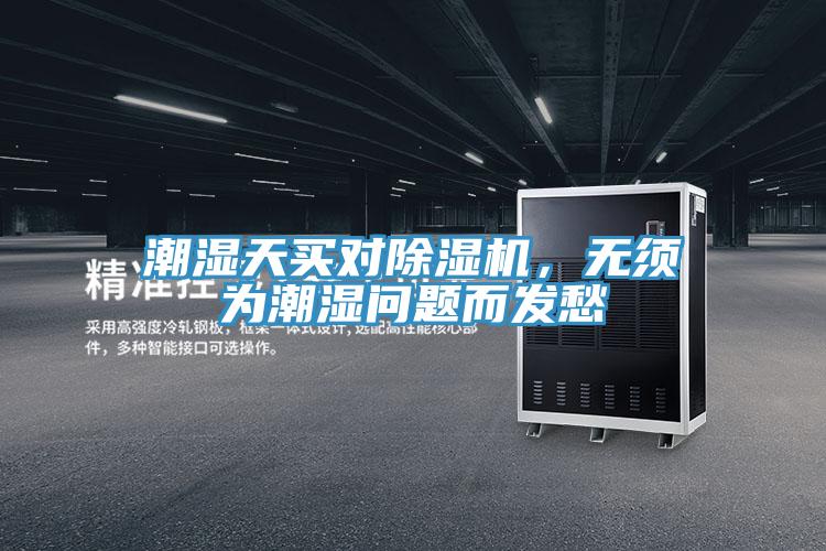 潮濕天買對蘑菇视频网站，無須為潮濕問題而發愁