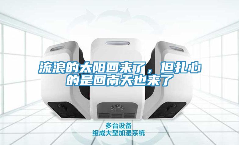 流浪的太陽回來了，但紮心的是回南天也來了