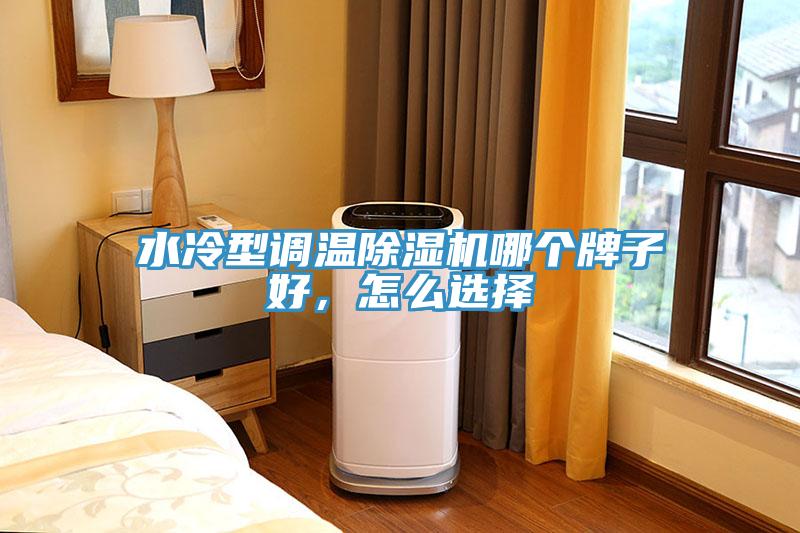 水冷型調溫蘑菇视频网站哪個牌子好，怎麽選擇