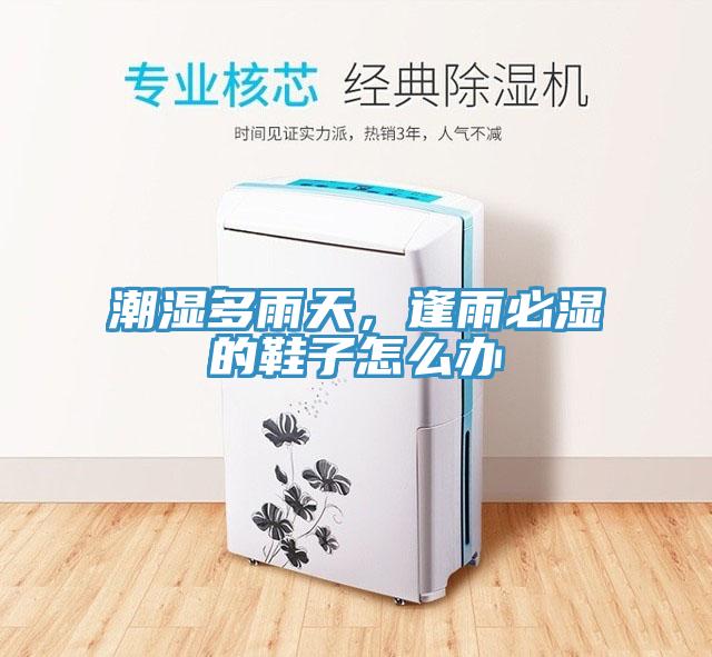 潮濕多雨天，逢雨必濕的鞋子怎麽辦
