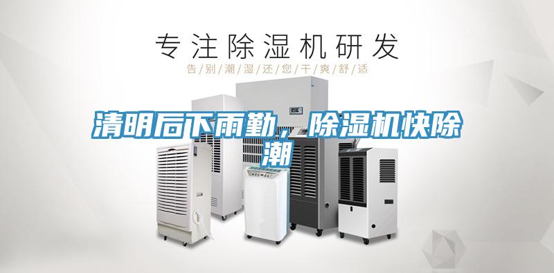 清明後下雨勤，蘑菇视频网站快除潮