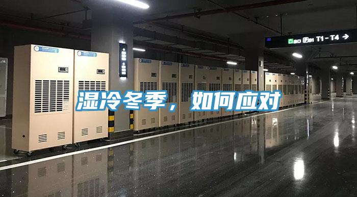 濕冷冬季，如何應對