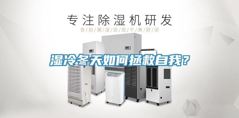 濕冷冬天如何拯救自我？
