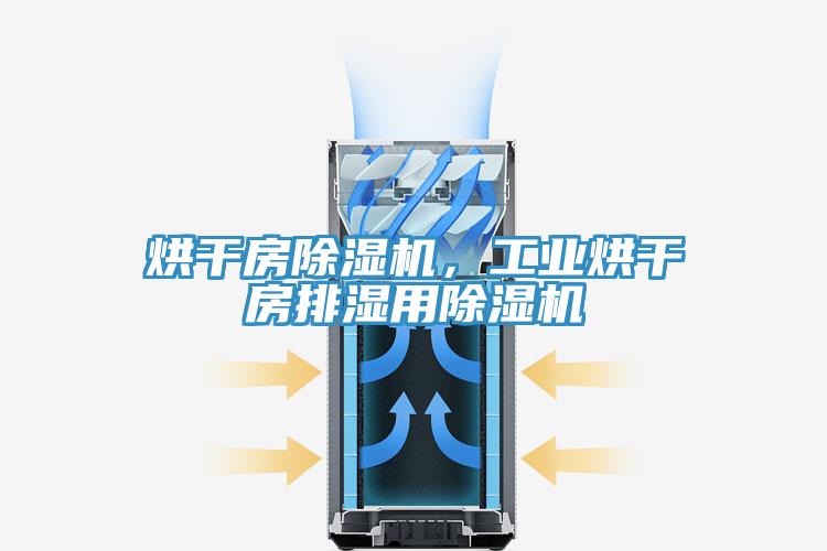 烘幹房蘑菇视频网站，工業烘幹房排濕用蘑菇视频网站