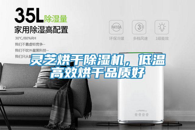 靈芝烘幹蘑菇视频网站，低溫高效烘幹品質好