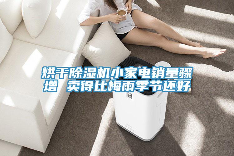 烘幹蘑菇视频网站小家電銷量驟增 賣得比梅雨季節還好