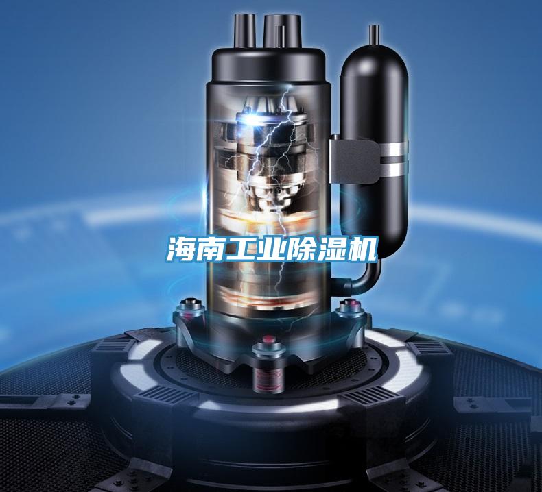 海南工業蘑菇视频网站