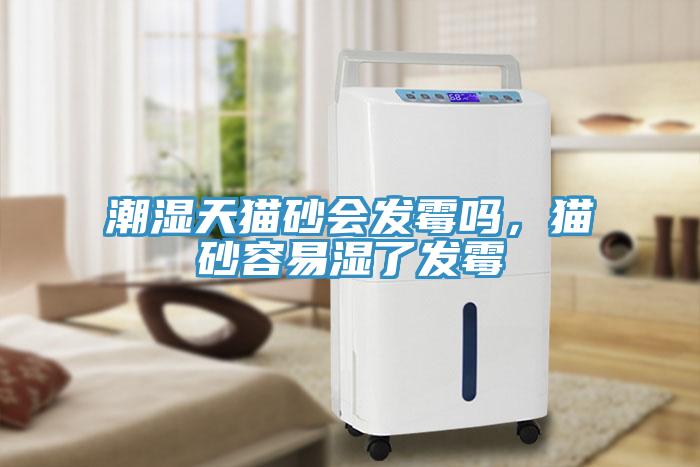 潮濕天貓砂會發黴嗎，貓砂容易濕了發黴