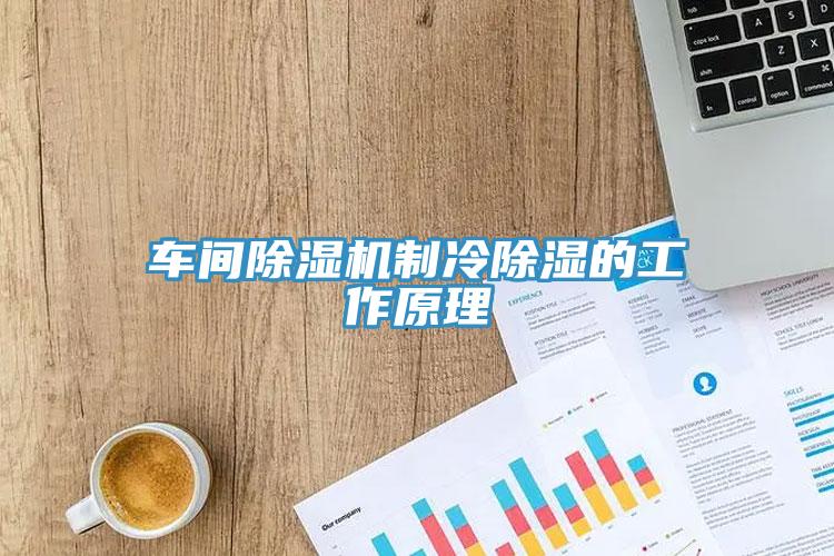 車間蘑菇视频网站製冷除濕的工作原理