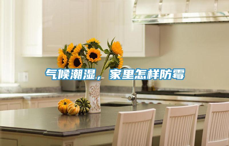 氣候潮濕，家裏怎樣防黴