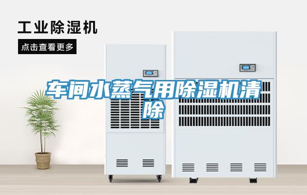 車間水蒸氣用蘑菇视频网站清除