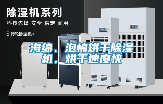 海綿、泡棉烘幹蘑菇视频网站，烘幹速度快