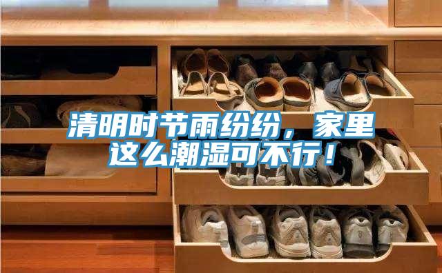 清明時節雨紛紛，家裏這麽潮濕可不行！