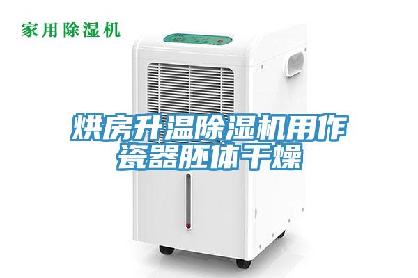 烘房升溫蘑菇视频网站用作瓷器胚體幹燥