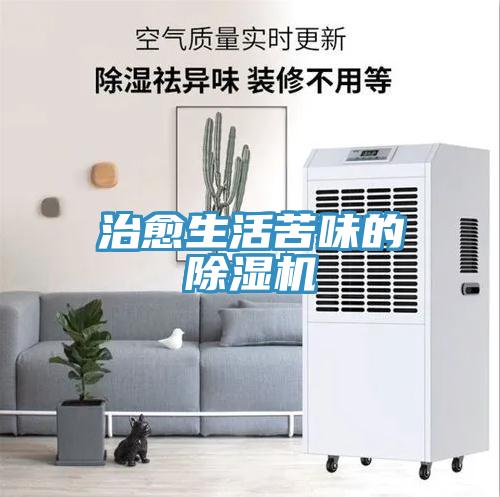 治愈生活苦味的蘑菇视频网站